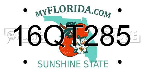 16QT285 Florida License Plate