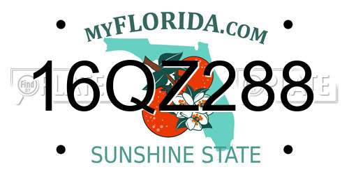 16QZ288 Florida License Plate