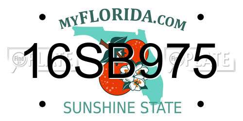 16SB975 Florida License Plate
