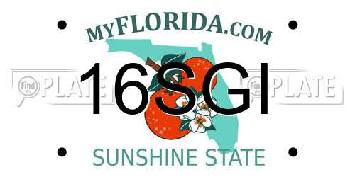 16SGI Florida License Plate