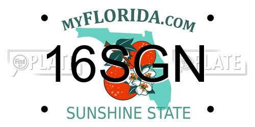 16SGN Florida License Plate
