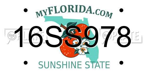 16SS978 Florida License Plate