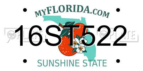 16ST522 Florida License Plate