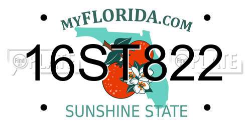 16ST822 Florida License Plate