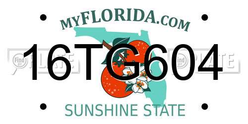 16TG604 Florida License Plate