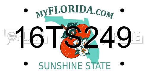 16TS249 Florida License Plate