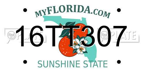 16TT307 Florida License Plate