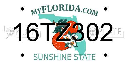 16TZ302 Florida License Plate