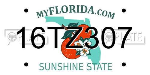 16TZ307 Florida License Plate