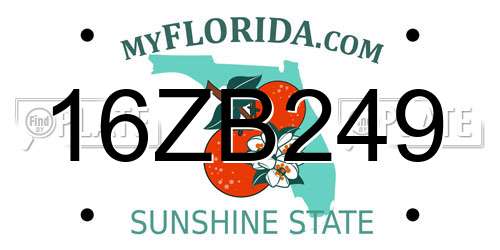 16ZB249 Florida License Plate