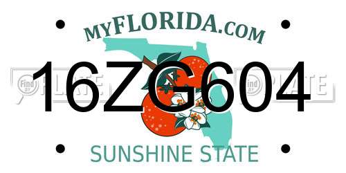 16ZG604 Florida License Plate