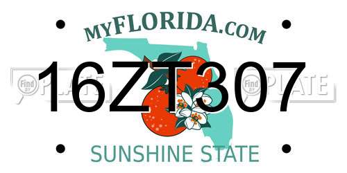16ZT307 Florida License Plate