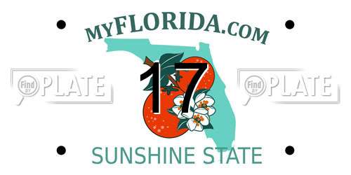 17 Florida License Plate
