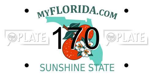 170 Florida License Plate