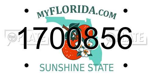 1700856 Florida License Plate
