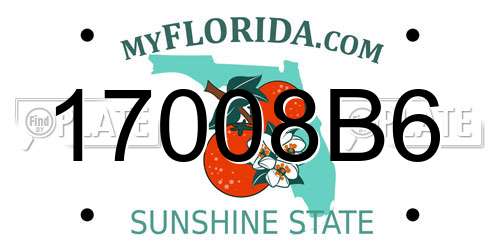 17008B6 Florida License Plate