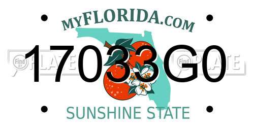 17033G0 Florida License Plate