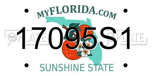 17095S1 Florida License Plate