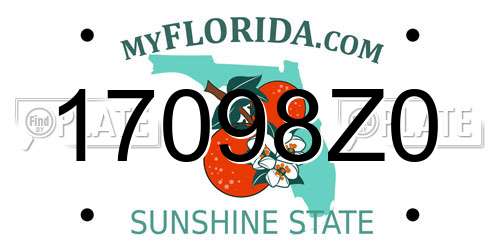 17098Z0 Florida License Plate