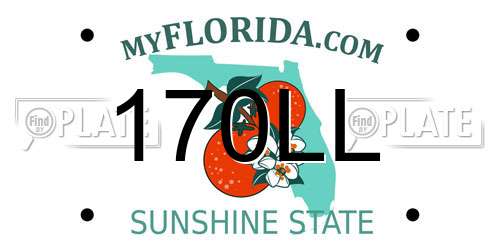 170LL Florida License Plate
