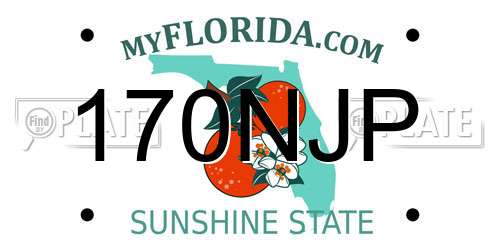 170NJP Florida License Plate