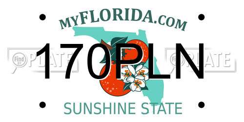 170PLN Florida License Plate