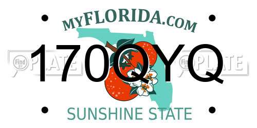 170QYQ Florida License Plate