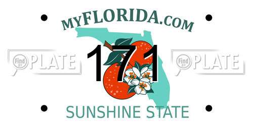 171 Florida License Plate