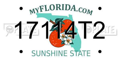 17114T2 Florida License Plate