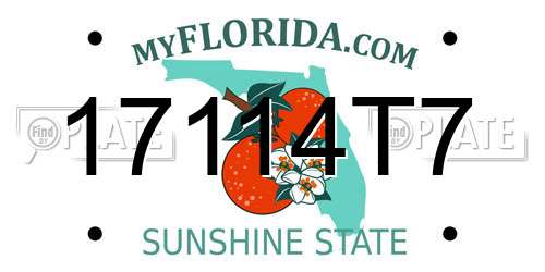 17114T7 Florida License Plate