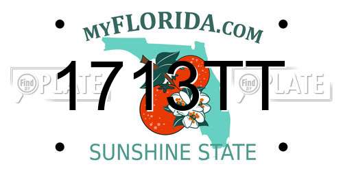 1713TT Florida License Plate