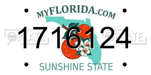 1716124 Florida License Plate