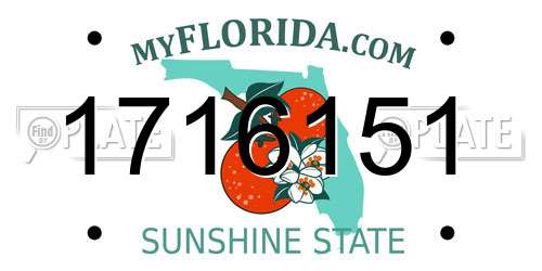 1716151 Florida License Plate