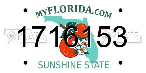 1716153 Florida License Plate