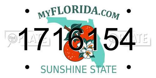 1716154 Florida License Plate