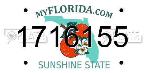 1716155 Florida License Plate