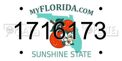1716173 Florida License Plate