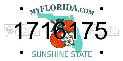 1716175 Florida License Plate