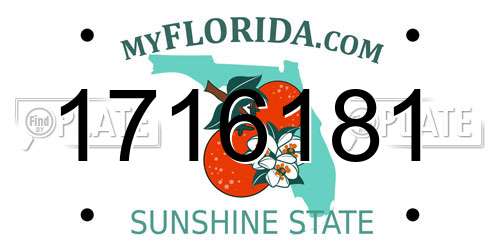 1716181 Florida License Plate