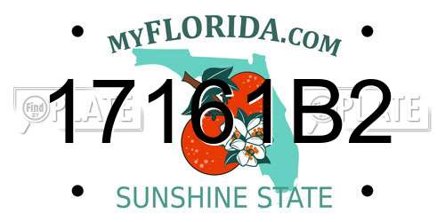 17161B2 Florida License Plate