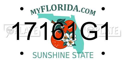 17161G1 Florida License Plate