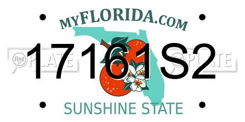 17161S2 Florida License Plate