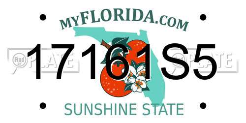 17161S5 Florida License Plate