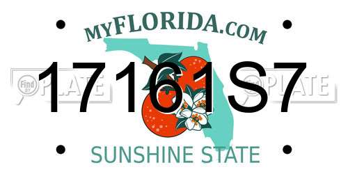 17161S7 Florida License Plate