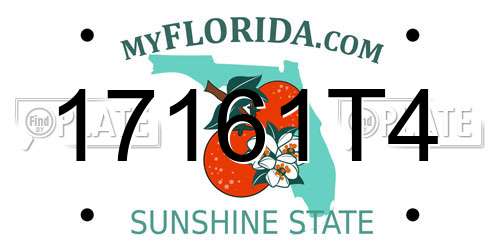 17161T4 Florida License Plate