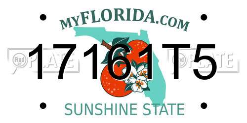 17161T5 Florida License Plate