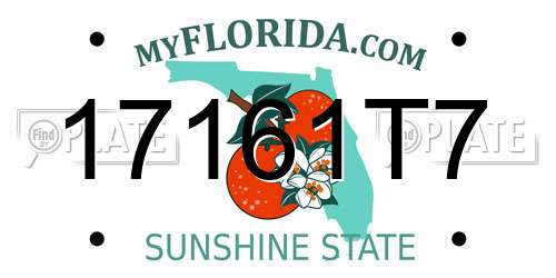 17161T7 Florida License Plate