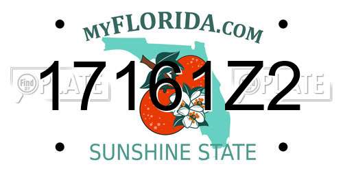 17161Z2 Florida License Plate