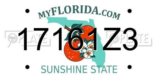 17161Z3 Florida License Plate