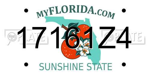 17161Z4 Florida License Plate